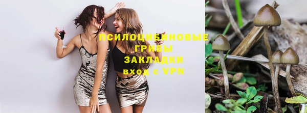 прущие крисы Краснослободск