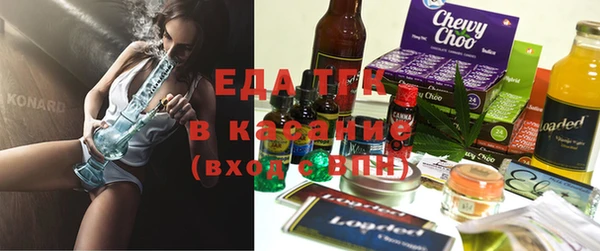 ECSTASY Кукмор