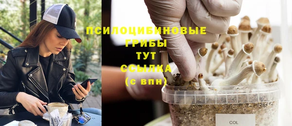 ECSTASY Кукмор